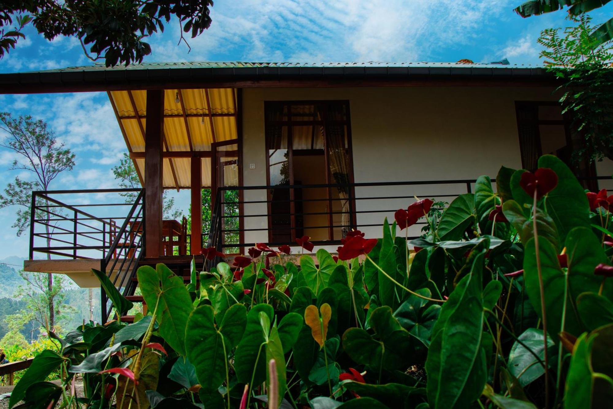 Nine Arch Wood Cabin إيلا المظهر الخارجي الصورة