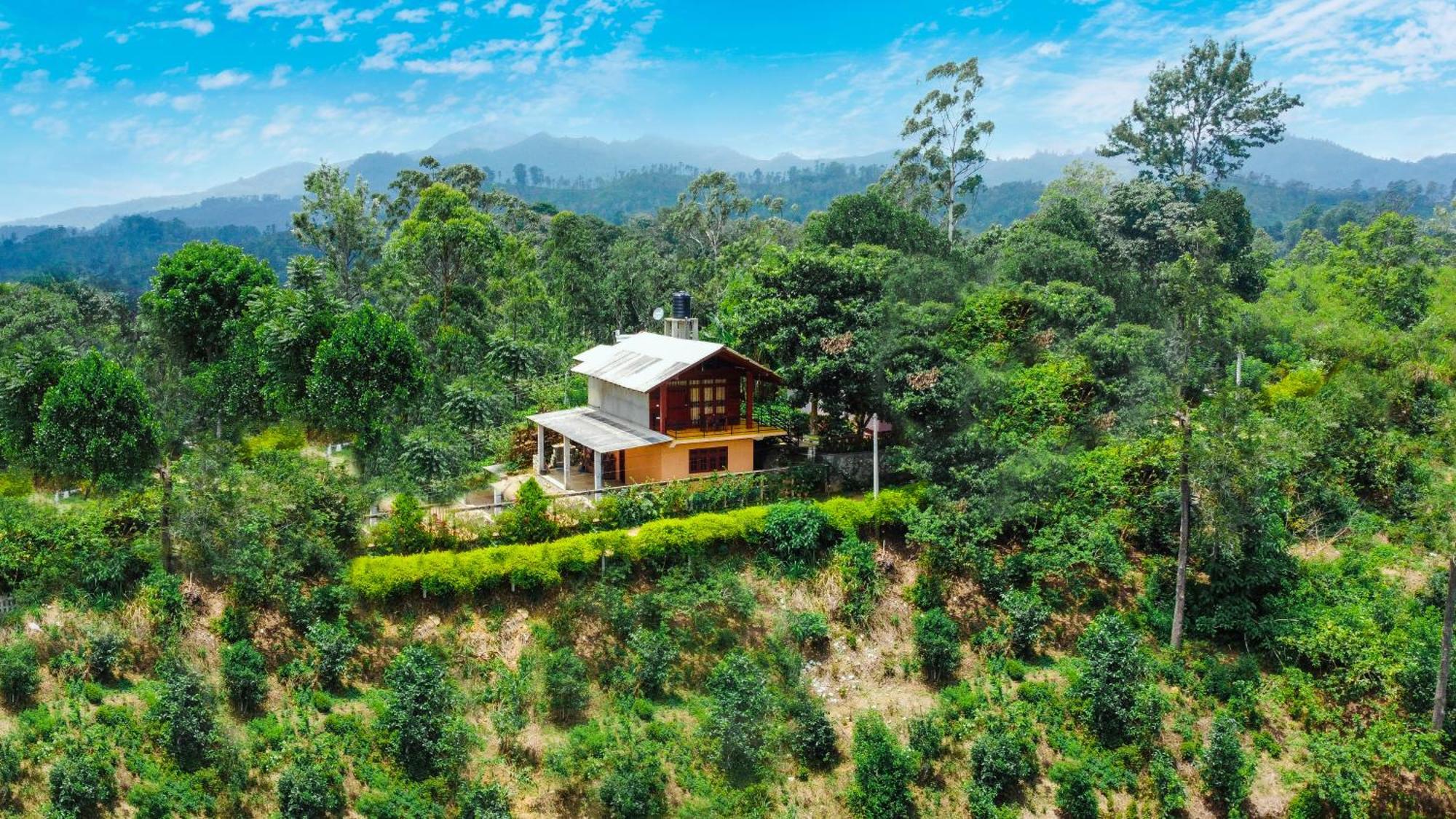 Nine Arch Wood Cabin إيلا المظهر الخارجي الصورة